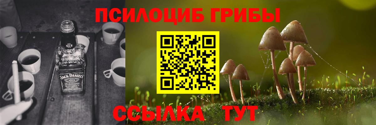 Галлюциногенные грибы Psilocybe Сокол